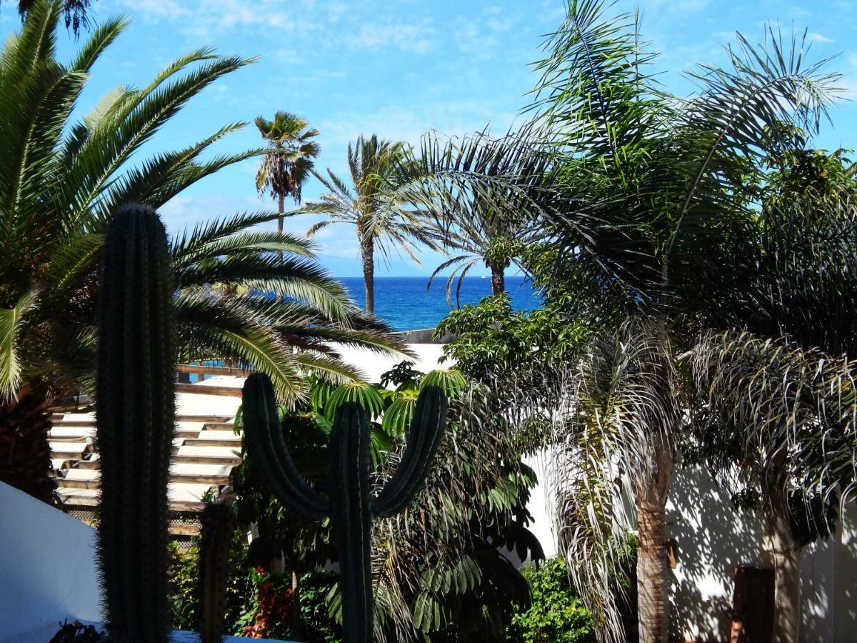 Beautiful Beachfront Playa de las Américas Dış mekan fotoğraf